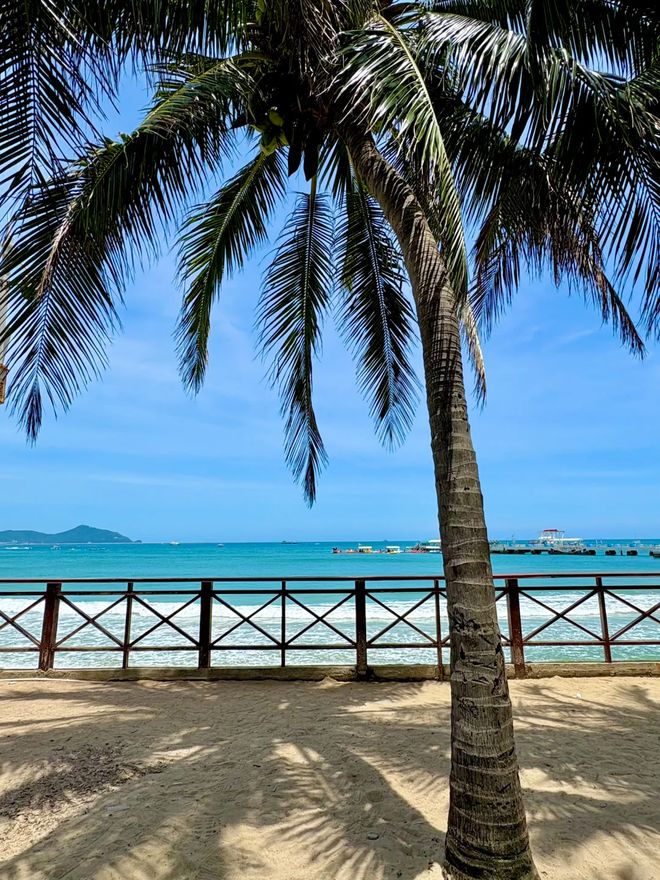 旅游三亚团2025文化沉浸款：学黎锦+贝雕+疍家夜捕含古早味